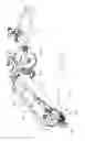 Fig. 05 - Land roller