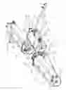 Fig. 11 - Land roller