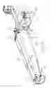 Fig. 13 - Land roller