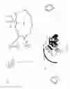 Fig. 07 - Systems and methods for forming graphical and/or textual elements on land for remote viewing