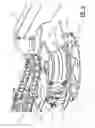 Fig. 05 - Stalked crop harvesting header structure