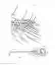 Fig. 02 - Quick attach corn reel assembly