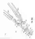 Fig. 20 - LANDSCAPING TOOL