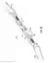 Fig. 30 - LANDSCAPING TOOL