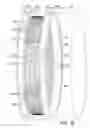 Fig. 09 - Circle in-line emitter