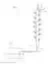 Fig. 01 - Vertical hydroponic system