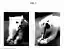Fig. 08 - Retention Safety Devices and Uses