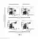 Fig. 08 - Humanized IL-6 and IL-6 receptor