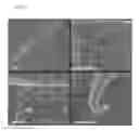 Fig. 02 - Microfabricated surfaces for the physical capture of insects