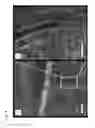 Fig. 07 - Microfabricated surfaces for the physical capture of insects