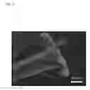 Fig. 09 - Microfabricated surfaces for the physical capture of insects