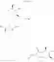 Fig. 08 - Macrocyclic picolinamides as fungicides