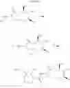 Fig. 09 - Macrocyclic picolinamides as fungicides