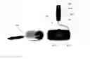 Fig. 01 - Cake Decorating Kit