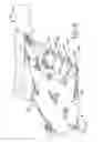 Fig. 07 - Shooting Glove