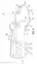 Fig. 08 - Article of footwear having a sole structure