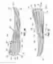 Fig. 07 - Sole structures and articles of footwear having a lightweight midsole member with protective elements