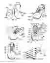 Fig. 02 - Dually adjustable, anchored, parallel lacing technology