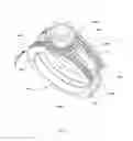 Fig. 06 - RING SYSTEM INCLUDING A REMOVABLE OUTER RING