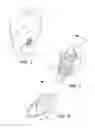Fig. 02 - Support for creating living jewelry