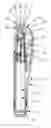 Fig. 01 - Assembly for dispensing and applying a fluid product