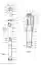 Fig. 03 - Assembly for dispensing and applying a fluid product