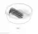 Fig. 05 - STRUCTURE OF FOOT BRUSH