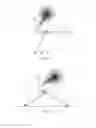 Fig. 08 - STRUCTURE OF FOOT BRUSH