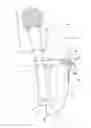 Fig. 01 - Motorized cleaning system for a brush
