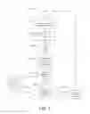 Fig. 07 - WRIST PAD AND METHODS OF USE THEREOF
