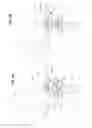 Fig. 20 - Hand held mixing device