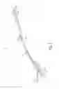 Fig. 04 - Ergonomic handle
