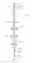 Fig. 05 - Vertically adjustable shower caddy and method for tensioning same