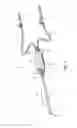 Fig. 03 - MEDICAL DEVICE INTRODUCTION AND IMAGING SYSTEM, AND ASSOCIATED METHOD