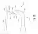 Fig. 19 - Apparatus and method to illuminate and orient guidewire