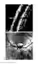 Fig. 02 - Systems and methods of glaucoma diagnosis based on frequency analysis of inner retinal surface profile measured by optical coherence tomography