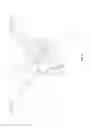 Fig. 10 - Clinical Intravital Microscope