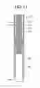 Fig. 10 - MEASUREMENT PROBE AND OPTICAL MEASUREMENT SYSTEM