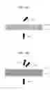 Fig. 09 - Method and apparatus for acquiring bioinformation and apparatus for testing bioinformation