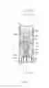 Fig. 04 - Catheter with combined position and pressure sensing structures
