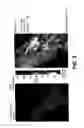 Fig. 03 - HYPERSPECTRAL TISSUE OXYGENATION MEASUREMENT SYSTEM