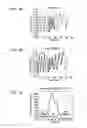 Fig. 07 - Touch panel apparatus for sensing a biosignal and method of acquiring information about respiration of user using the same