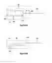 Fig. 34 - Tissue excision device with anchor stability rod and anchor stability rod