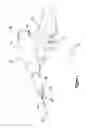 Fig. 02 - INCISION EXPANSION INTRODUCER