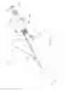 Fig. 02 - Scope-Mounted iNod Handle