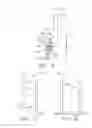 Fig. 04 - Surgical staples comprising features for improved fastening of tissue