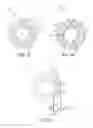 Fig. 15 - Surgical adjuncts with medicants affected by activators