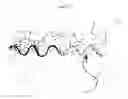 Fig. 24 - Adjunct material to promote tissue growth in a colon