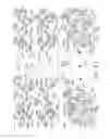 Fig. 41 - Surgical staple driver arrays
