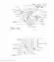 Fig. 22 - Surgical staple configurations with camming surfaces located between portions supporting surgical staples
